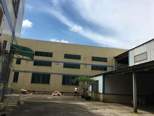 肇慶市外資廠(chǎng)房驗(yàn)廠(chǎng)檢測(cè)鑒定報(bào)告怎么去辦理 肇慶市新聞