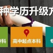 成都市金牌思維教育咨詢有限責(zé)任公司 專業(yè)教育咨詢，點(diǎn)亮成長(zhǎng)之路