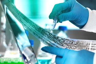 2019年，教育咨詢服務(wù)公司經(jīng)營(yíng)范圍的“黃金寫法”，讓你賺翻的秘訣